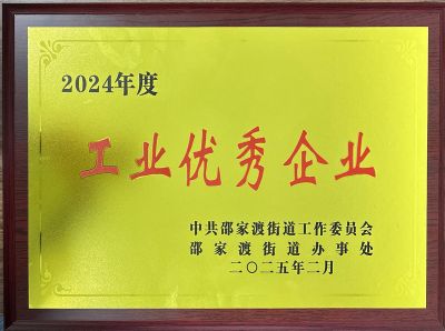 2024年度工業(yè)優(yōu)秀企業(yè)